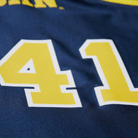 Mitchell & Ness Glen Rice Navy Michigan Wolverines 1988/89 Authentic Jersey