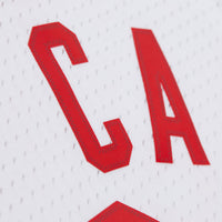 New Jersey Nets Mitchell & Ness Swingman Jersey - - Vince Carter