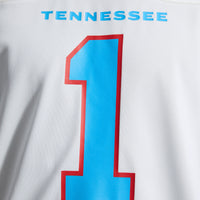 Tennessee Titans Cameron Ward Nike White Game Jersey