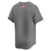 Nike Gray Tennessee Volunteers Alternate Limited Baseball Jersey